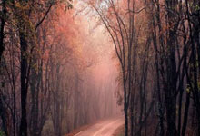 利物浦客场大胜南安普顿，继续领跑积分榜