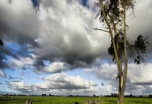 广东队客场挑战山东男篮，争夺西部霸主