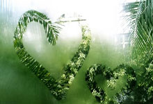 匈牙利主场大胜奥地利，力保欧锦赛四强席位