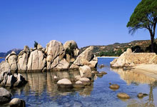 莱比锡红牛突破困境，重返胜利轨道